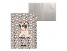 52763 Папка файловая пластиковая ErichKrause&#174; Chilling Dog, с 30 карманами, А4 (в пакете по 4 шт.) Цена 184+% в наличии 2 шт.jpg