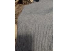 IMG 20241201 071217.jpg