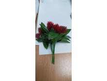 IMG 20241225 152242 349.jpg