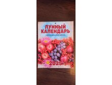  2025      ( )