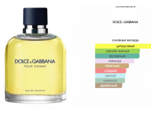Dolce&Gabbana Pour Homme