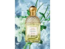 AQUA ALLEGORIA HERBA FRESCA 125