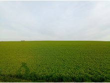 20250517 -300  56 182906.jpg