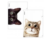 61139 Папка-уголок пластиковая ErichKrause Hiding Cats, A4, ассорти (в пакете по 12 шт.) Цена 25+% в наличии 4 шт. мин. заказ - 4 шт.jpg