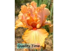 Photo-output.jpeg