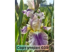 Photo-output.jpeg