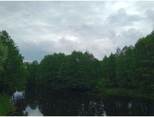 20250613 -600  115521.jpg