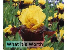 Photo-output.jpeg
