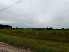 20250705 -400  075811.jpg