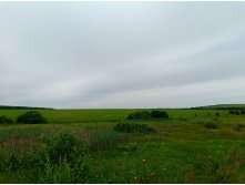 20250705 -400  093953.jpg
