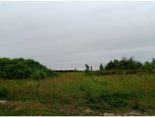 20250705 -400  101612.jpg
