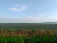 20250727 -600  065056.jpg