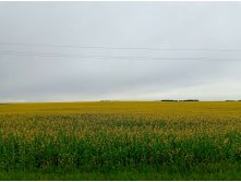 20250705 -400  102928.jpg