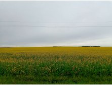 20250705 -400  102927.jpg