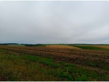 20250705 -400  094440.jpg