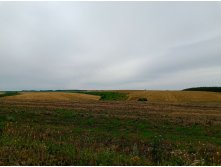 20250705 -400  094227.jpg