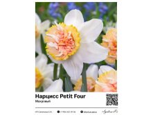 3121	 Petit Four () 136 