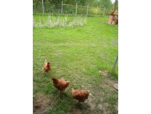 Photo 2025-09-21 19-26-29.jpg