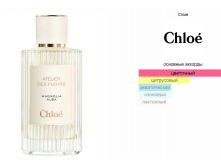 Magnolia Alba Chlo&#233; 150