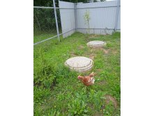 Photo 2025-09-21 19-26-35.jpg