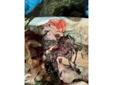 Photo 2025-08-04 15-14-22.jpg