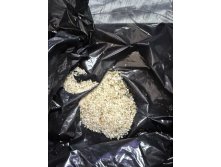 Photo 5397944816811243545 y.jpg