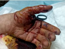 Photo 2025-06-10 20-41-13.jpg