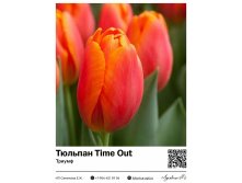 2407	 Time Out () 50 