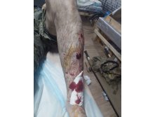 Photo 2025-09-16 19-32-05 (2).jpg