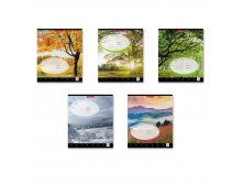 49229 Тетрадь школьная ученическая ErichKrause&#174; Родные просторы, 24 листа, клетка (в плёнке по 10 шт.) Цена за упаковку 110+% В наличии 12 упаковок.jpg