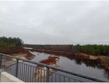 20251102 -200  112625.jpg