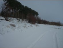 DSC08047.JPG