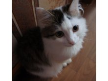 DSC00876.JPG