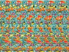 mzgsirds-009.jpg