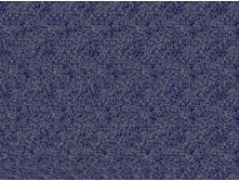 mzgsirds-056.jpg