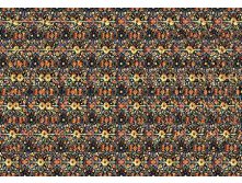 mzgsirds-060.jpg