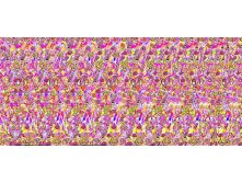 mzgsirds-099.jpg