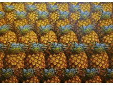 pineapple01.jpg