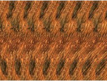 stereogram_0003.jpg