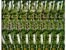 stereogram_me6.jpg