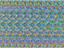 3dstereogram_eagle01.jpg