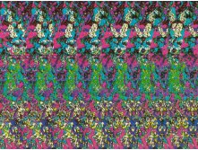 3dstereogram_pegasus01.jpg