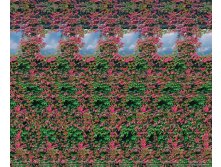072_stereo.jpg