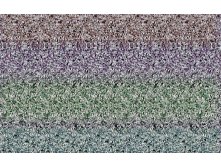 077_stereo.jpg