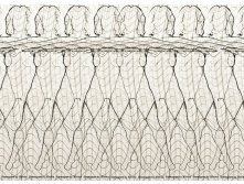 3Dimka_contour_stereo.jpg