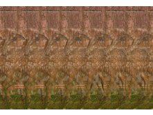 3Dimka_Forest_Stereogram.jpg