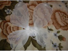 DSCN3175.JPG