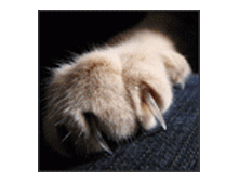 14d41a18784b.gif