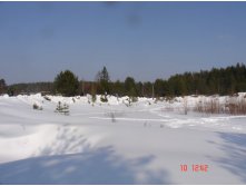 DSC01259.JPG
