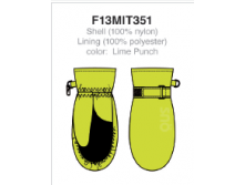 F13MIT351-02.png
